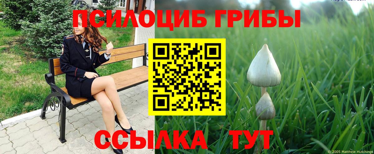 Майский  Галлюциногенные грибы MAGIC MUSHROOMS  Вход с VPN 